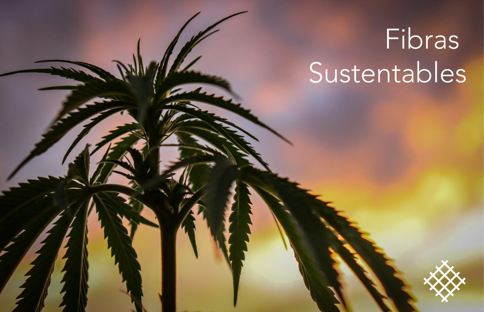 Fibras Sustentables
